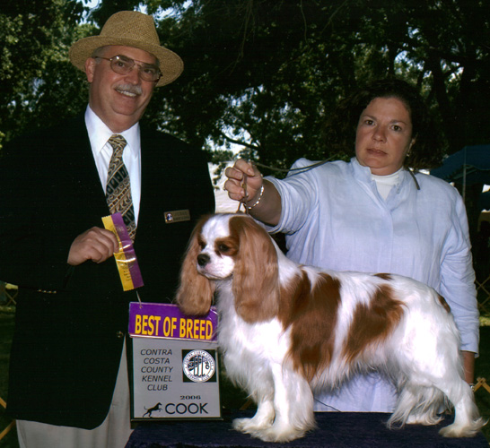 Robbie at the Contra Costa County Kennel Club Dog Show